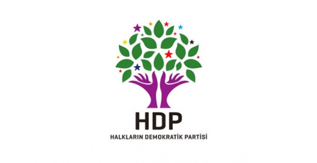Hangi parti referandumda ne oy kullanacak 11