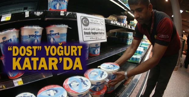 “Dost” yoğurt Katar'da 1