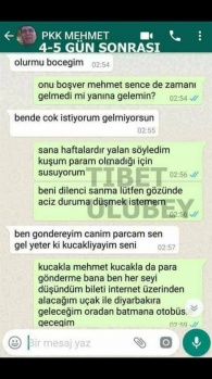 PKK Mehmet'in Mehmetcik Vakfına kurban bağışı 6