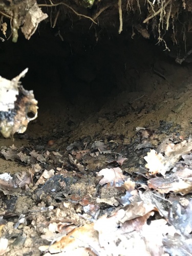 Tunceli'de biri TOW füzesi ile tuzaklanmış 9 sığınak imha edildi 2