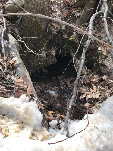 Tunceli'de biri TOW füzesi ile tuzaklanmış 9 sığınak imha edildi 9