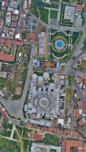 Dünyanın en büyük lale halısı 6