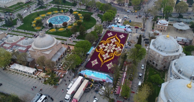 Dünyanın en büyük lale halısı 5