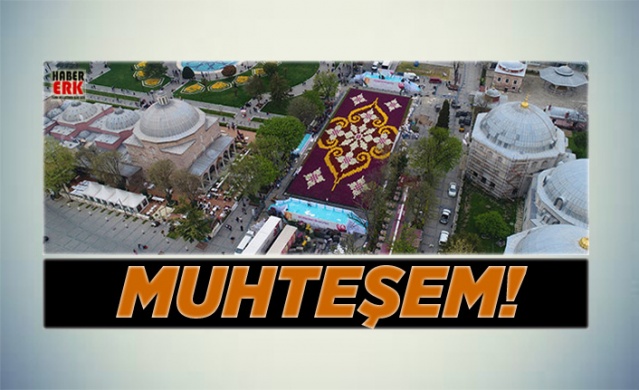 Dünyanın en büyük lale halısı 1