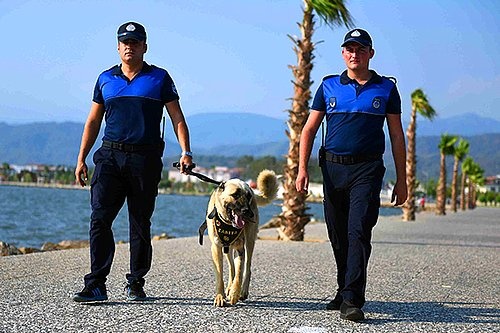Behçet Saatci'nın Halkın Takdirini Kazanan 10 Hareketi 5