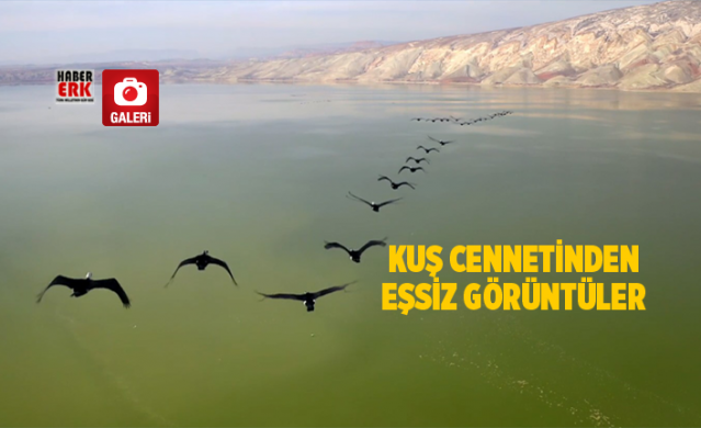 Kuş cennetinden eşsiz görüntüler 1