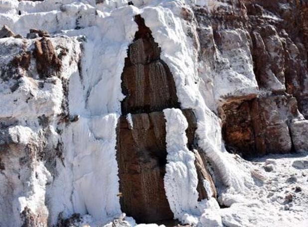 "Delice tuzu" Dünya’nın bir çok ülkesine ihraç ediliyor 14