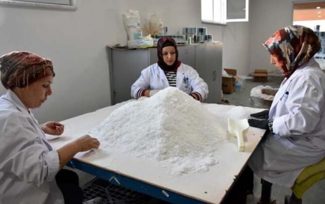 "Delice tuzu" Dünya’nın bir çok ülkesine ihraç ediliyor 9