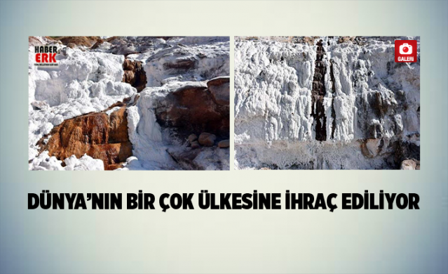 "Delice tuzu" Dünya’nın bir çok ülkesine ihraç ediliyor 1