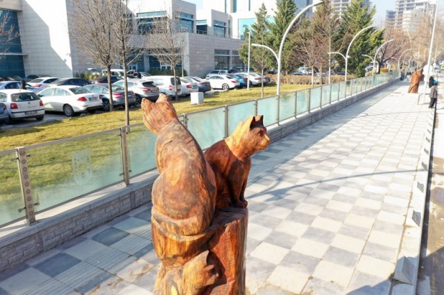 Kuruyan ağaçlar sanat eserine dönüştürüldü 4
