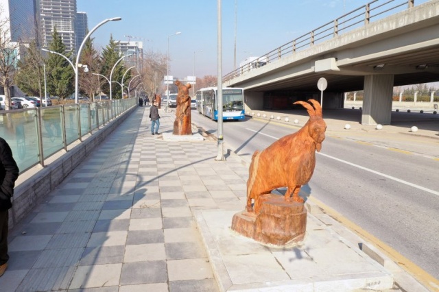 Kuruyan ağaçlar sanat eserine dönüştürüldü 5
