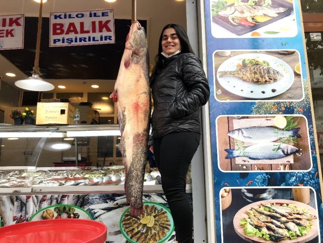 Balıkçıların ağına takılan insan boyunda balık görenleri şaşırtıyor 2