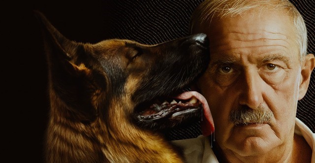 Netflix Türkiye'nin şubat programında neler var neler! 2