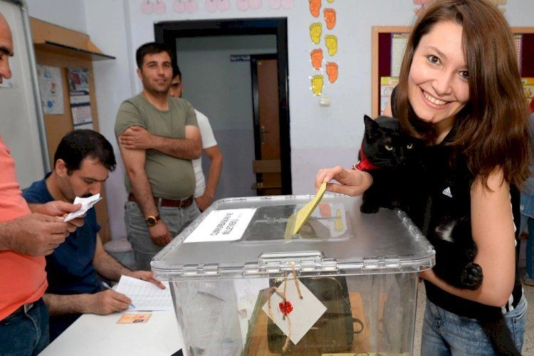 2023 yılında yapılan son anketler kimi işaret ediyor? İşte bu Pazar seçim olsa oy oranları 57