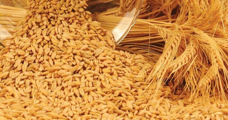 Hangi vitamin eksikliğinde hangi besinler tüketilmeli! 13