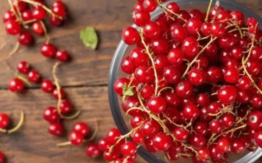 Hangi vitamin eksikliğinde hangi besinler tüketilmeli! 16