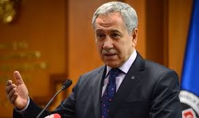 Bülent Arınç'tan Fuat Avni açıklaması