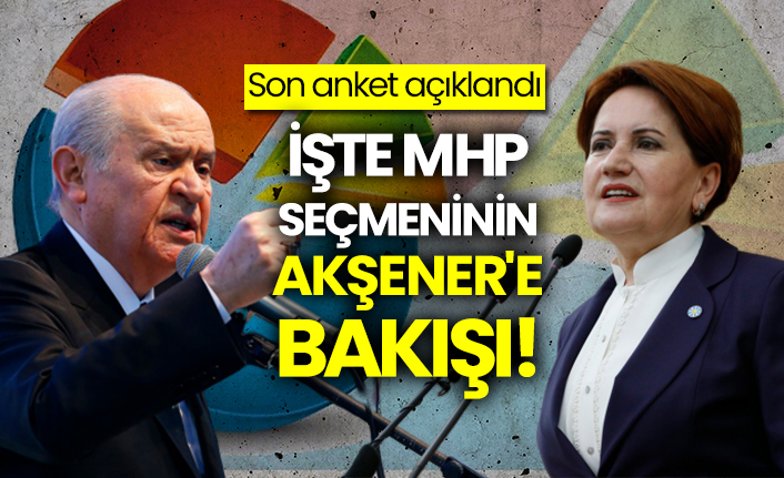 Son anket açıklandı: İşte MHP seçmeninin Akşener'e bakışı!