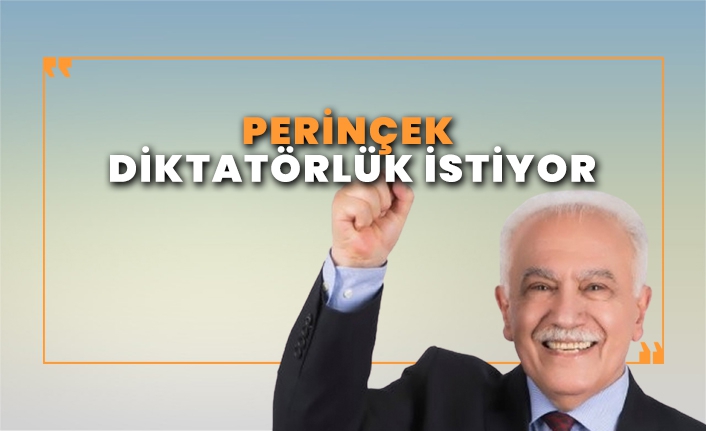 Perinçek’ten Erdoğan’a sosyal medya desteği: ‘Milli diktatörlük uygulamalı!’