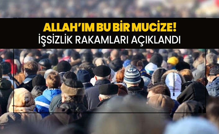 Allah'ım bu bir mucize! 2020 Nisan ayı İşsizlik rakamları açıklandı
