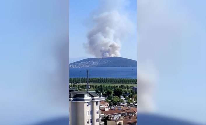 Heybeliada'da orman yangını büyüyor