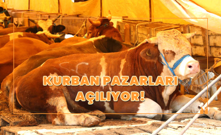 İstanbul'da kurban satışları 16 Temmuz'da başlıyor!
