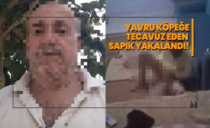Yavru köpeğe tecavüz eden sapık yakalandı!