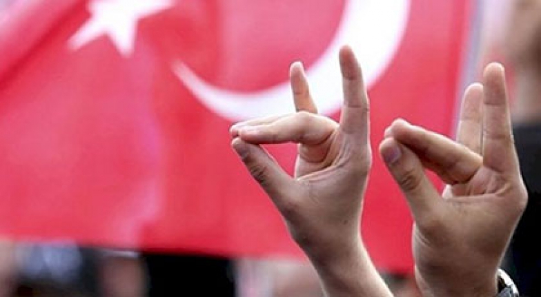 Almanya bu kez ülkücülere soruşturma açtı