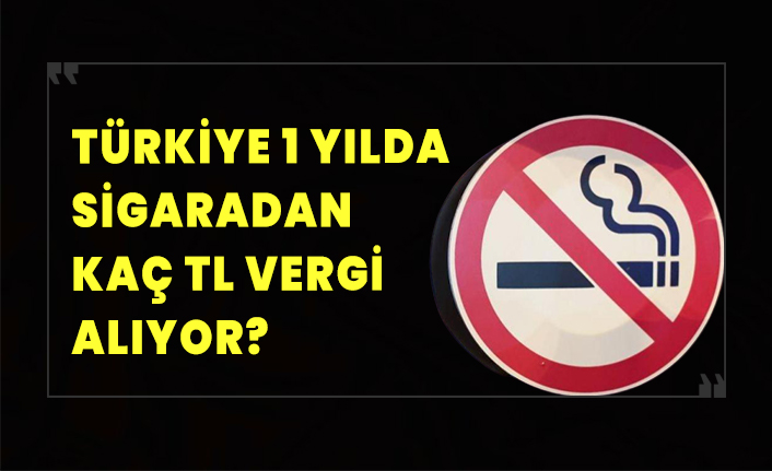 Türkiye 1 yılda sigaradan kaç TL vergi alıyor?