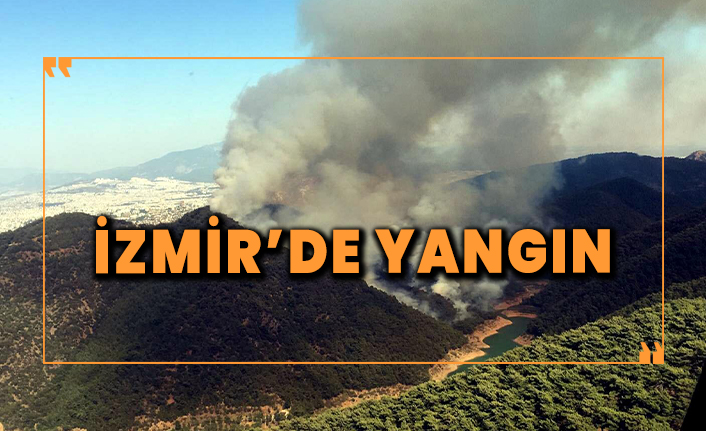 İzmir'de dev orman yangını: Şehirden görülüyor