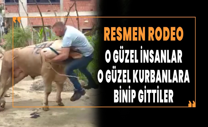 O güzel insanlar o güzel kurbanlara binip gittiler
