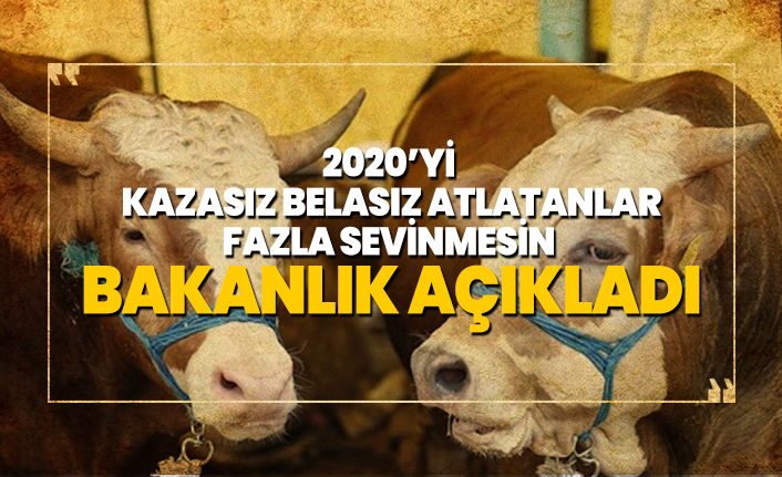 Bakan açıkladı ''Elde kalan kurbanlıkları Et ve Süt Kurumu alacak''