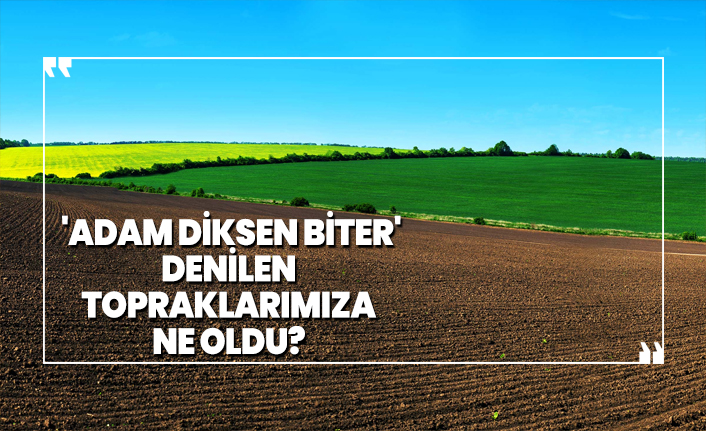 'Adam diksen biter'  denilen  topraklarımıza ne oldu?