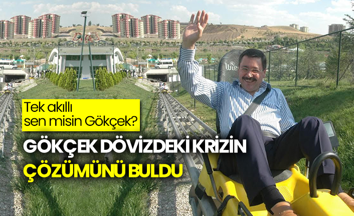 Melih Gökçek dövizdeki krizin çözümünü buldu