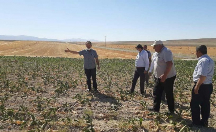 Çiftçinin hem tarlası hem yüreği yanıyor