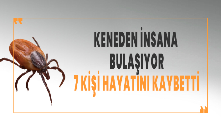 Keneden insana bulaşıyor! 7 kişi hayatını kaybetti