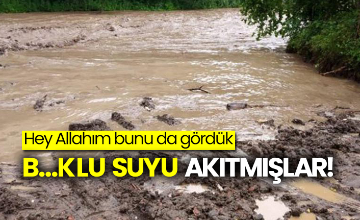 Kanalizasyon suyu üzerine HES!