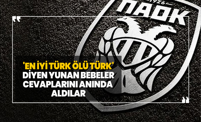 'En iyi Türk ölü Türk' diyen yunan bebeler cevaplarını anında  aldılar