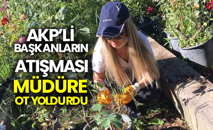 AKP’li başkanların atışması müdüre ot yoldurdu