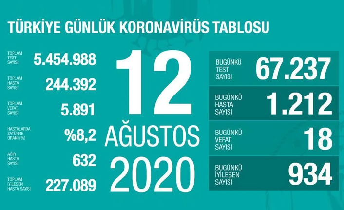 12 Temmuz 2020 Türkiye'de koronavirüs verileri açıklandı