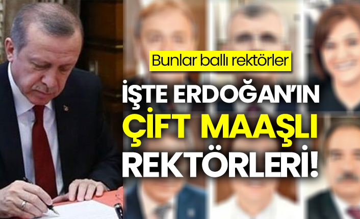 Erdoğan’ın çifte maaşlı rektörleri
