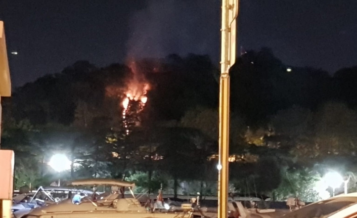 Emirgan Korusu yanıyor!