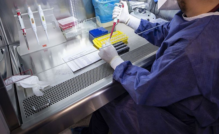 Sağlık Bakanlığı'ndan 'PCR testi' açıklaması