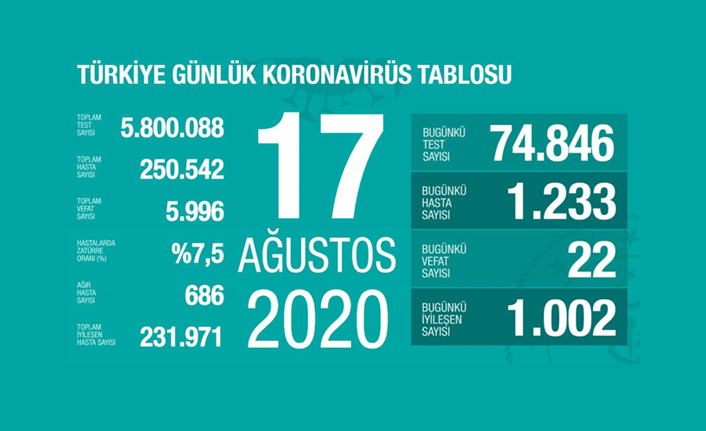 Ağır hasta sayısı artıyor! Vakalar açıklandı