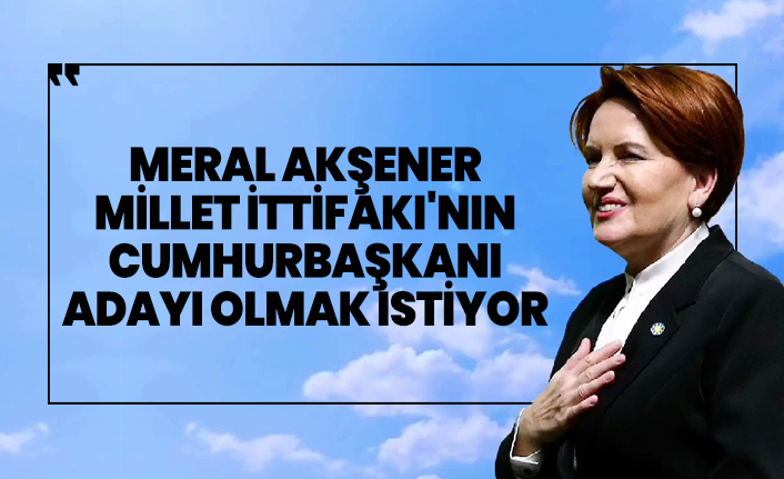 Meral Akşener Millet İttifakı'nın Cumhurbaşkanı adayı olmak istiyor