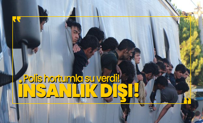 Susuzluktan bitkin halde bulundular, Polis hortumla su verdi!