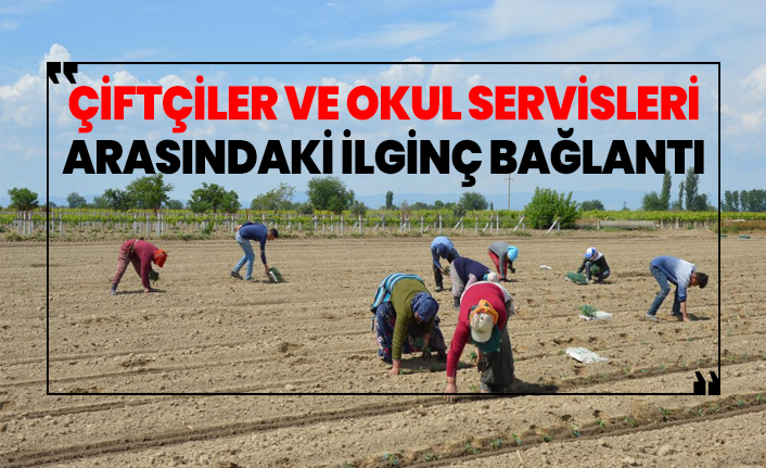 Çiftçiler ve Okul servisleri arasındaki ilginç bağlantı