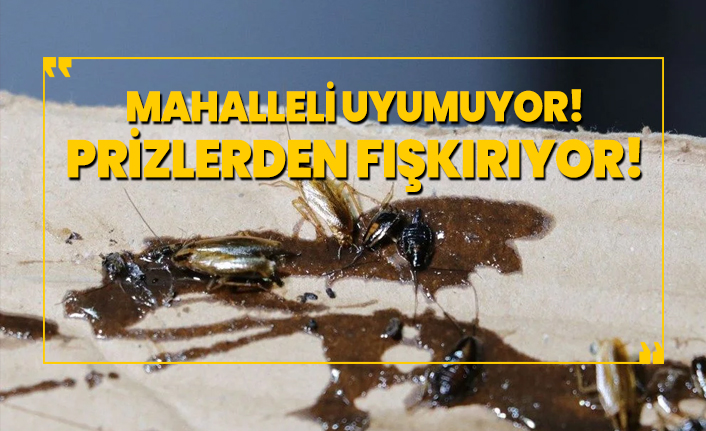 Mahalleli uyumuyor! Prizlerden fışkırıyor!