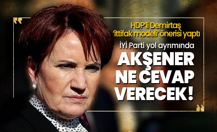 HDP’li Demirtaş ‘ittifak modeli’ önerisi yaptı ‘İYİ Parti yol ayrımında, Akşener ne cevap verecek?’