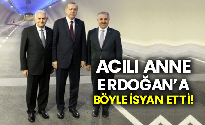 Acılı anne, Erdoğan’a böyle isyan etti!